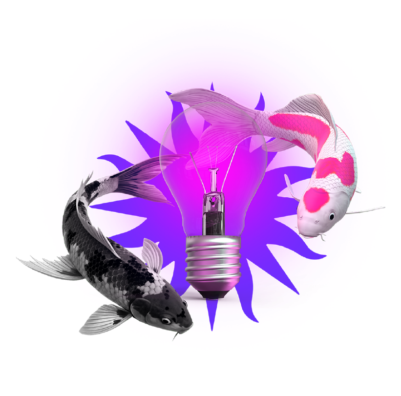Koi Fish